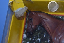 Load image into Gallery viewer, Protocol-New in Box-NO DOGS-Strapless Mold-Breyer Traditional