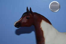 Load image into Gallery viewer, Kalico-Proud Arabian Stallion Mold-Breyer Traditional