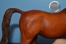 Load image into Gallery viewer, Keen-Chestnut-Breyer Classic