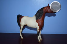Load image into Gallery viewer, Kalico-Proud Arabian Stallion Mold-Breyer Traditional