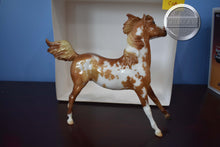 Load image into Gallery viewer, Sandman-Vintage Club Exclusive-Smoky Mold-Breyer Traditional