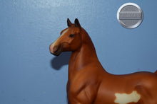 Load image into Gallery viewer, Show Pony-Aristocrat Hackney Mold-Breyer Traditional