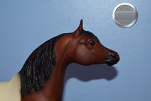 Load image into Gallery viewer, Kalico-Proud Arabian Stallion Mold-Breyer Traditional