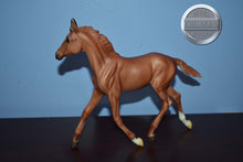 Load image into Gallery viewer, Thoroughbred Foal (from Hacknet Set-Gilen Mold-Breyer Traditional