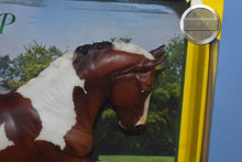 Load image into Gallery viewer, Adiah HP-Damaged Box-Totilas Mold-Breyer Traditional