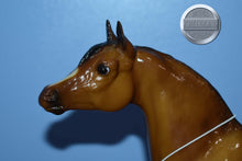 Load image into Gallery viewer, Dune-Proud Arabian Stallion Mold-Breyer Traditional