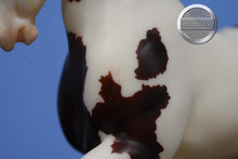 Load image into Gallery viewer, American Spotted Draft #2-Shire B Mold-Breyer Classic
