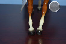 Load image into Gallery viewer, Dune-Proud Arabian Stallion Mold-Breyer Traditional