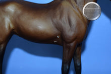 Load image into Gallery viewer, Jet Run-Bay-Breyer Classic