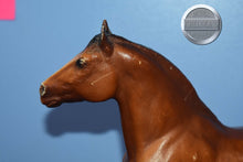Load image into Gallery viewer, Vintage Clydesdale Mare-Body-Original on the Mold-Breyer Traditional