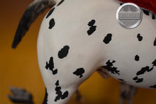Load image into Gallery viewer, Cooper-Vintage Club Exclusive-Appaloosa Performance Horse Mold-Breyer Traditional