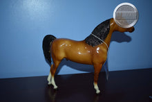 Load image into Gallery viewer, Dune-Proud Arabian Stallion Mold-Breyer Traditional