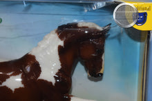 Load image into Gallery viewer, GLOSSY Adiah HP-Damaged Box-Totilas Mold-Breyer Traditional