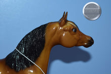 Load image into Gallery viewer, Dune-Proud Arabian Stallion Mold-Breyer Traditional