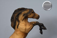 Load image into Gallery viewer, Fighting Mustang-Rearing Mesteno Mold-Breyer Classic
