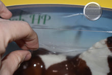 Load image into Gallery viewer, GLOSSY Adiah HP-Damaged Box-Totilas Mold-Breyer Traditional