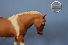 Load image into Gallery viewer, Sassafrass-Cantering Welsh Pony Mold-Breyer Traditional