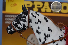Load image into Gallery viewer, Cooper-Vintage Club Exclusive-Appaloosa Performance Horse Mold-Breyer Traditional