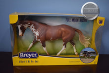 Load image into Gallery viewer, Full Moon Rising-Damaged Box-Strapless Mold-Breyer Traditional