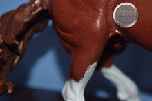 Load image into Gallery viewer, Custom-Chestnut Badger Face Nokota-Breyer Traditional