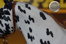 Load image into Gallery viewer, Cooper-Vintage Club Exclusive-Appaloosa Performance Horse Mold-Breyer Traditional