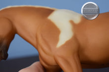 Load image into Gallery viewer, Sassafrass-Cantering Welsh Pony Mold-Breyer Traditional