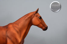 Load image into Gallery viewer, Prancer-Saddle Club-Boyla Mold-Breyer Traditional