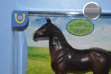 Load image into Gallery viewer, Bay Thoroughbred-New in Box-Breyer Classic