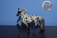 Load image into Gallery viewer, Wolfgang-Freisian Mold-Stablemate Club Exclusive-Breyer Stablemate