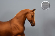 Load image into Gallery viewer, Kokopelli&#39;s Gold-Misty&#39;s Twilight Mold-Breyer Traditional