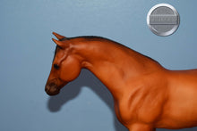 Load image into Gallery viewer, Rugged Lark-Original on the Mold-Breyer Traditional