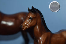 Load image into Gallery viewer, Mahogany Bay Mare and Foal-Proud Arabian Mare and Foal Mold-Breyer Traditional