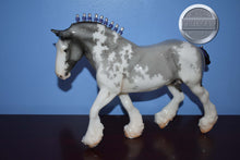 Load image into Gallery viewer, Glossy Benelli-Breyerfest Exclusive-Shire Mold-Breyer Traditional
