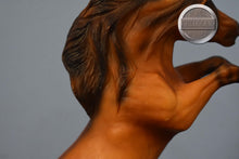Load image into Gallery viewer, The Challenger-Rearing Mesteno Mold-Breyer Classic