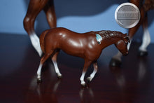 Load image into Gallery viewer, Woodstock with Stablemate-Vintage Club Exclusive-Indian Pony Mold-Breyer Traditional