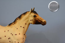 Load image into Gallery viewer, Appaloosa Sport Horse-Morganglanz Mold-Breyer Traditional