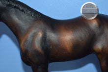 Load image into Gallery viewer, Thunder-Dark Bay-Quarter Horse Yearling Mold-Breyer Traditional