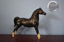 Load image into Gallery viewer, Black Morgan-Stretch Morgan Mold-Breyer Traditional