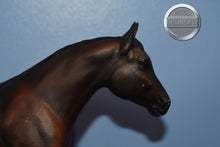 Load image into Gallery viewer, Thunder-Dark Bay-Quarter Horse Yearling Mold-Breyer Traditional