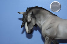Load image into Gallery viewer, Wintersong-NO COSTUME-Holiday Exclusive-Othello Mold-Breyer Traditional