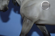 Load image into Gallery viewer, Wintersong-NO COSTUME-Holiday Exclusive-Othello Mold-Breyer Traditional