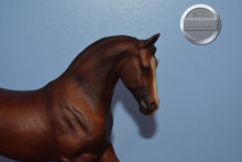 Load image into Gallery viewer, Dover Trakehner-Misty&#39;s Twilight Mold-Breyer Traditional