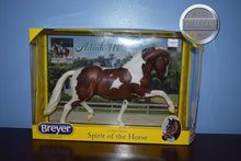 Load image into Gallery viewer, Adiah HP-New in Box-Totilas Mold-Breyer Traditional