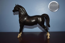 Load image into Gallery viewer, Black Morgan-Stretch Morgan Mold-Breyer Traditional