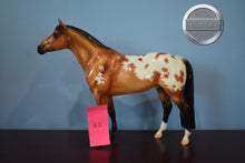 Load image into Gallery viewer, Thorn-Glossy Version-Breyerfest Exclusive-Trakenher Mold-Breyer Traditional