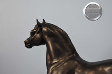 Load image into Gallery viewer, Black Morgan-Stretch Morgan Mold-Breyer Traditional