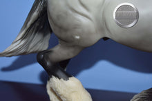 Load image into Gallery viewer, Wintersong-NO COSTUME-Holiday Exclusive-Othello Mold-Breyer Traditional