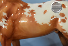 Load image into Gallery viewer, Thorn-Glossy Version-Breyerfest Exclusive-Trakenher Mold-Breyer Traditional