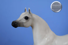 Load image into Gallery viewer, Buffalo Bill's Isham-Proud Arabian Stallion Mold-Breyer Traditional