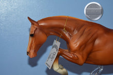 Load image into Gallery viewer, Barrington-NO COA-Vintage Club Exclusive-Jumping Warmblood Mold-Breyer Traditional